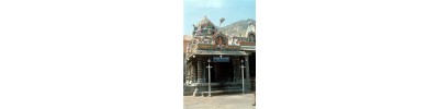 12.செல்வ கணபதி -தமிழ்நாடு